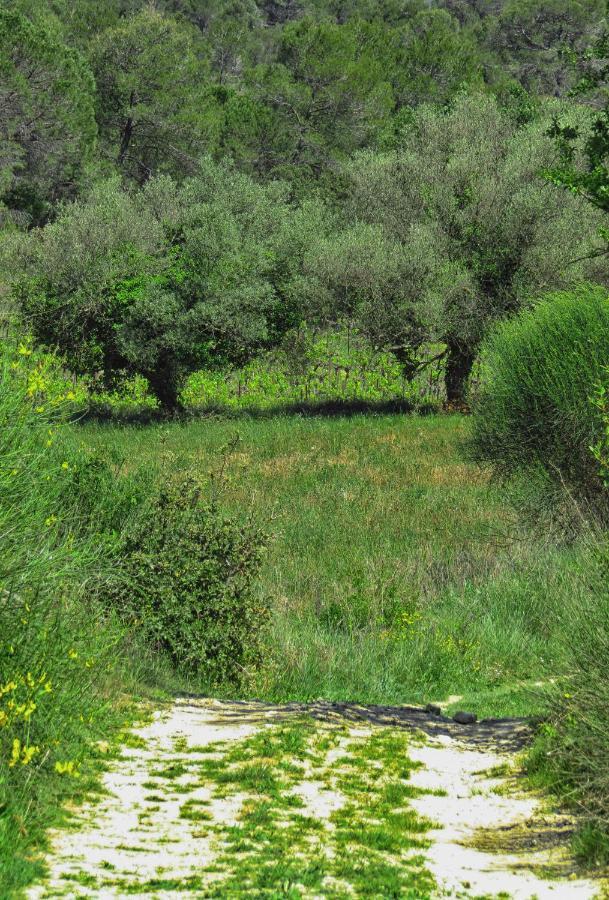 La Bastide De Canaules Bed and Breakfast Esterno foto