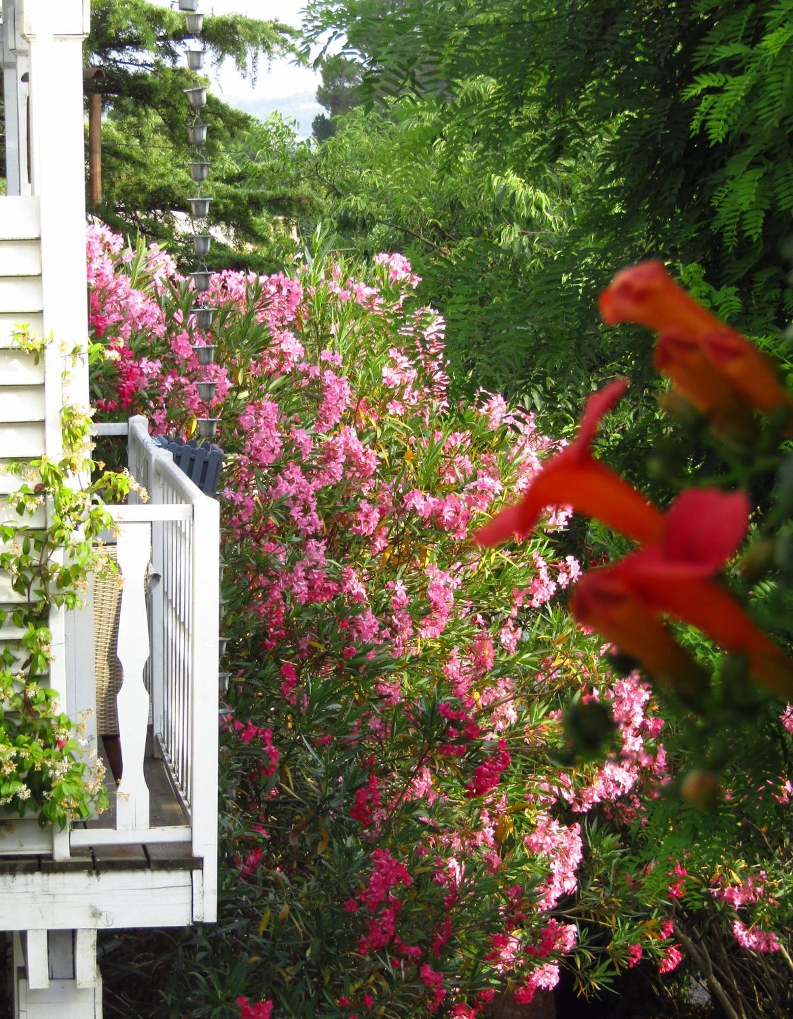 La Bastide De Canaules Bed and Breakfast Esterno foto